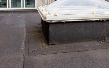 disadvantages of Broad Ings flat roofs