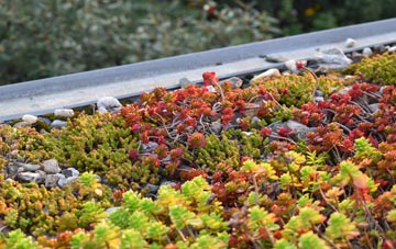 the cost of Broad Ings green roof installation
