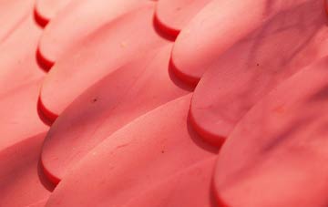 Broad Ings plastic roof costs