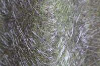 Broad Ings fibreglass roof work